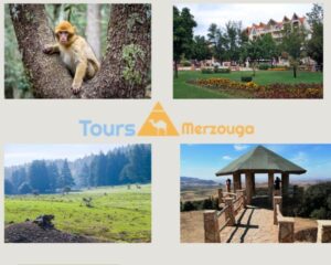 Day trip from Fes to Ifrane 