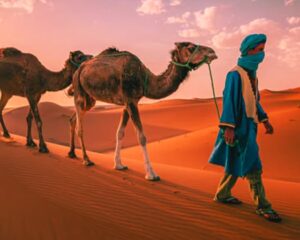 3 días desde Fez a Marrakech por el desierto del Sahara
